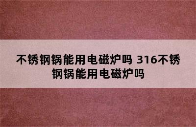 不锈钢锅能用电磁炉吗 316不锈钢锅能用电磁炉吗